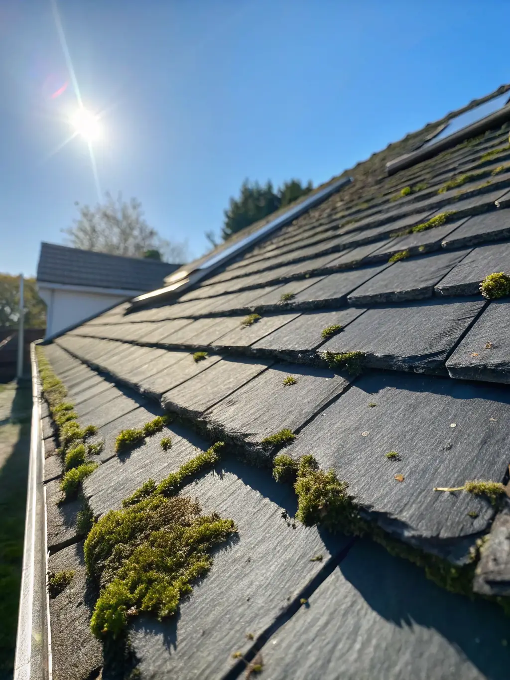 A before-and-after photo showcasing a roof in Granite Bay transformed from moss-covered to pristine clean after our service.
