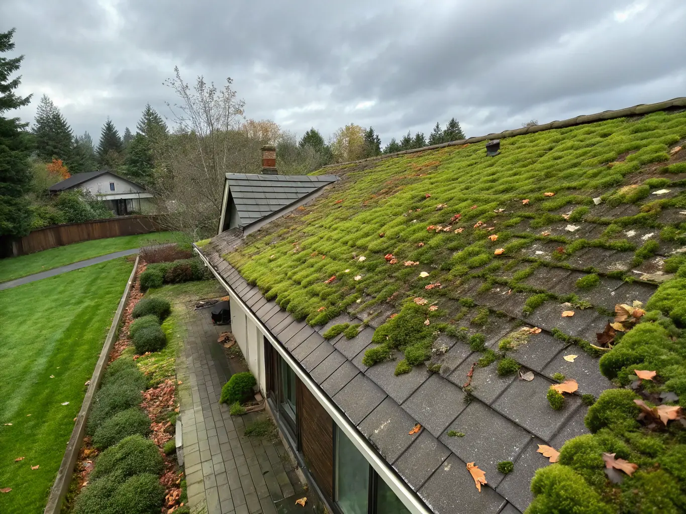 A close-up shot of a roof covered in thick moss, highlighting the need for professional moss removal services. The image should convey the density of the moss and the potential damage it can cause to the roofing material.