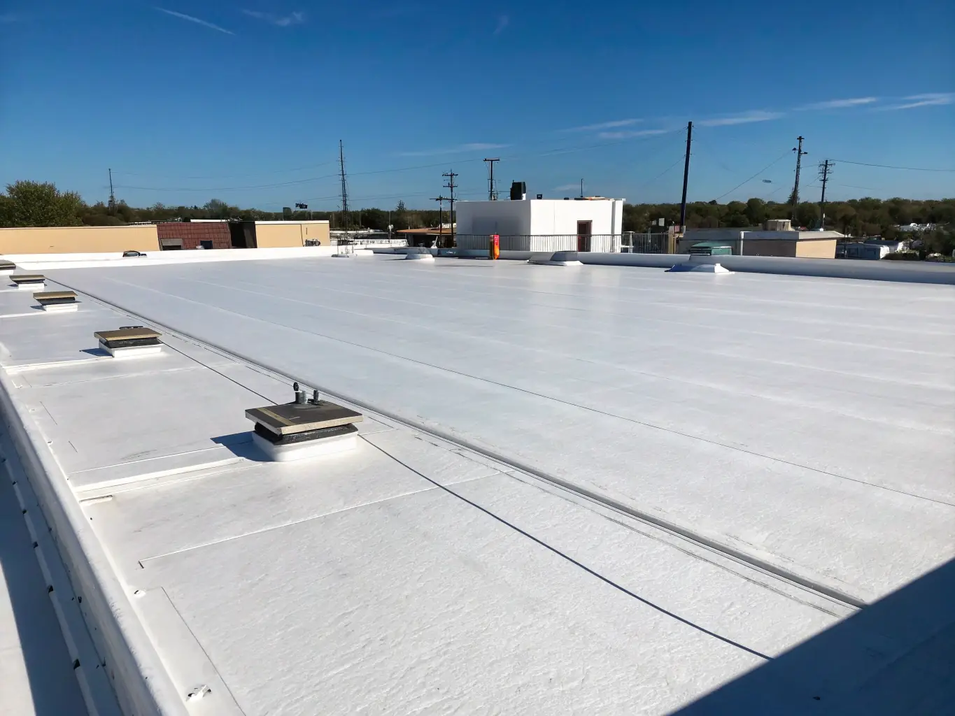 An image of a roof after a treatment application, showing the protective layer and the clean surface, emphasizing the long-term benefits of the treatment.